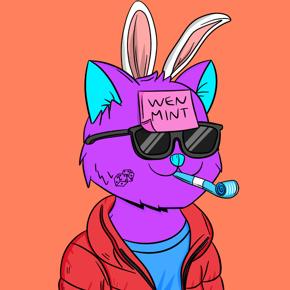 Cool Cats Society tweet media