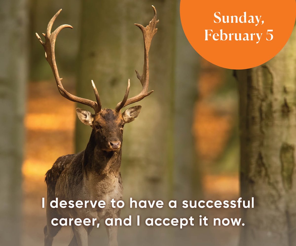 Hay House, Inc. on Twitter "I deserve to have a successful career, and I accept it now."