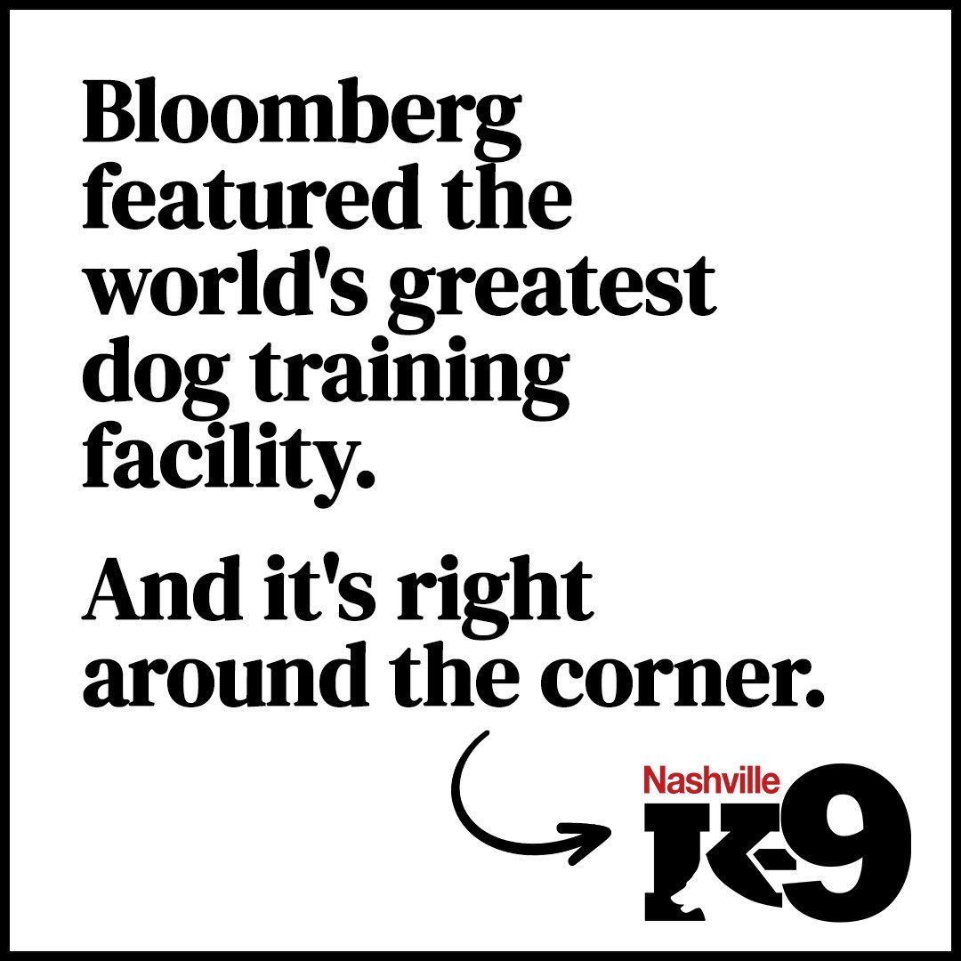 Today at 1:30PM CST

#worldsgreatestcaninetrainingfacility #dogtraining #dogtrainers #nashville #franklin #brentwood #ferrari #mercedes #merrick #bettertrainers #betterresults#whentheBESTmatters #NashvilleK9