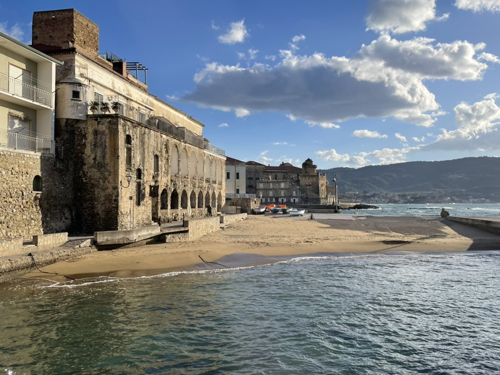 Armando De Crinito tweet media