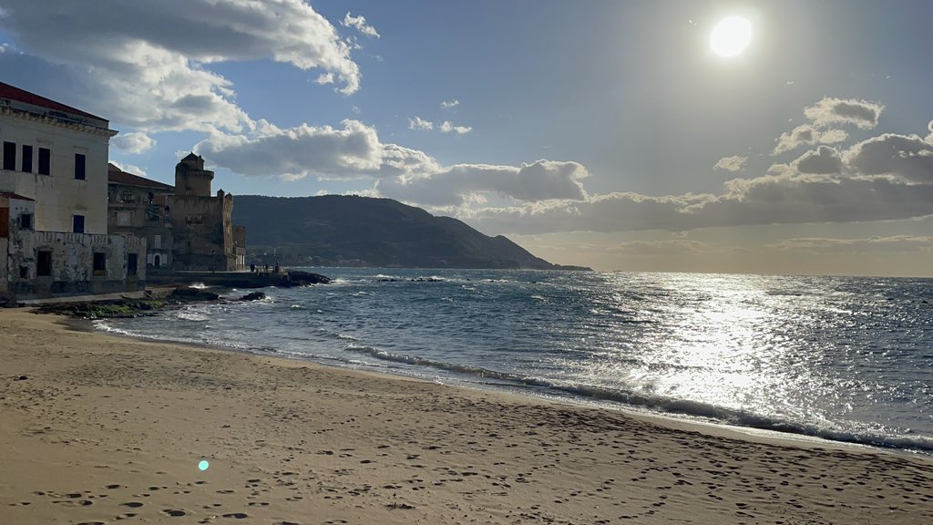 Armando De Crinito tweet media