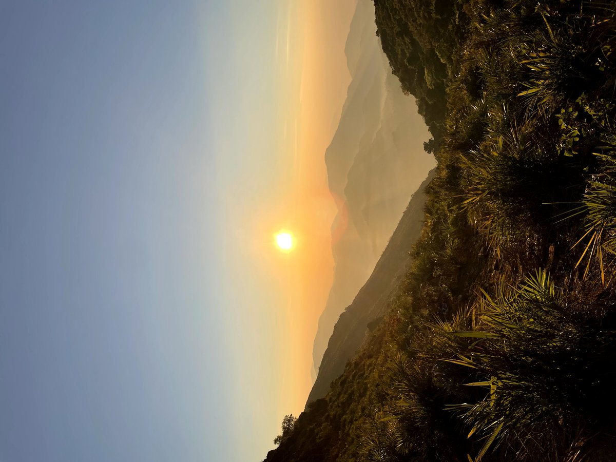 Srusam2's tweet image. Trekked for almost 2 hours to Experience the most beautiful Sunrise 🌅 Visited after 2 years but still the same vibe at Vanjangi hills ❤️A perfect day out with my buddies 🔥😍 #Paderu