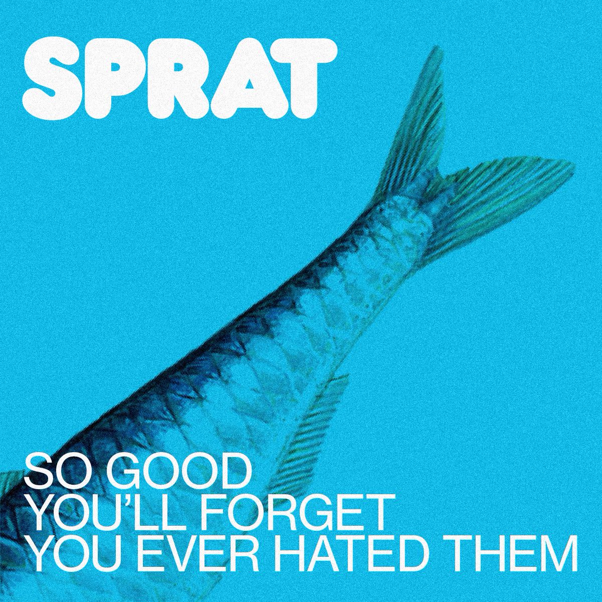 Joseph Hillenbrand tweet media