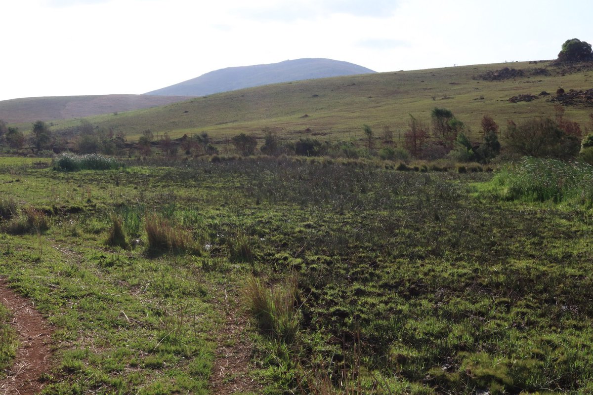 Over E5m spent on the protection of wetlands
#wetlands #Environment #environmentmatters 

eswatinifinancialtimes.africa/over-e5m-spent…