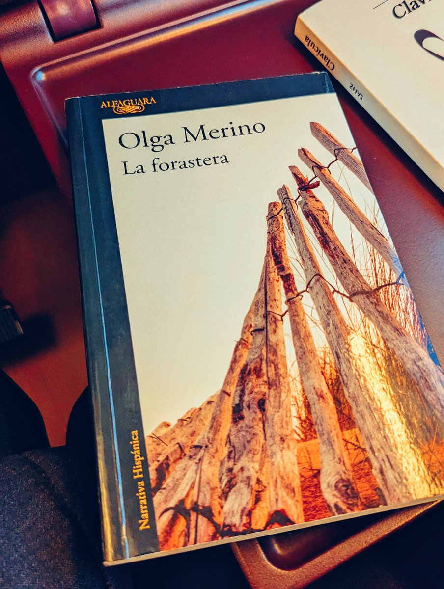 stratojacob's tweet photo. Angie, con toda la paleta cromática de colores, pinta la vida y la muerte. Pólvora, tierra y cenizas. Mil gracias a @olga_merino y @AlfaguaraES  por esta joya. #laforastera https://t.co/sb7OvX08ia