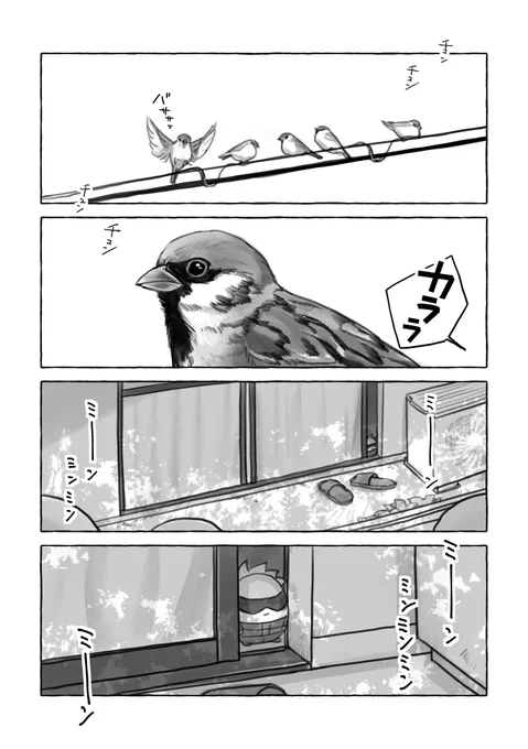 ふわ五WEBオンリー展示漫画
「ふわ五のモーニングルーティン」①
 
#五体ふわふわ_アフター 