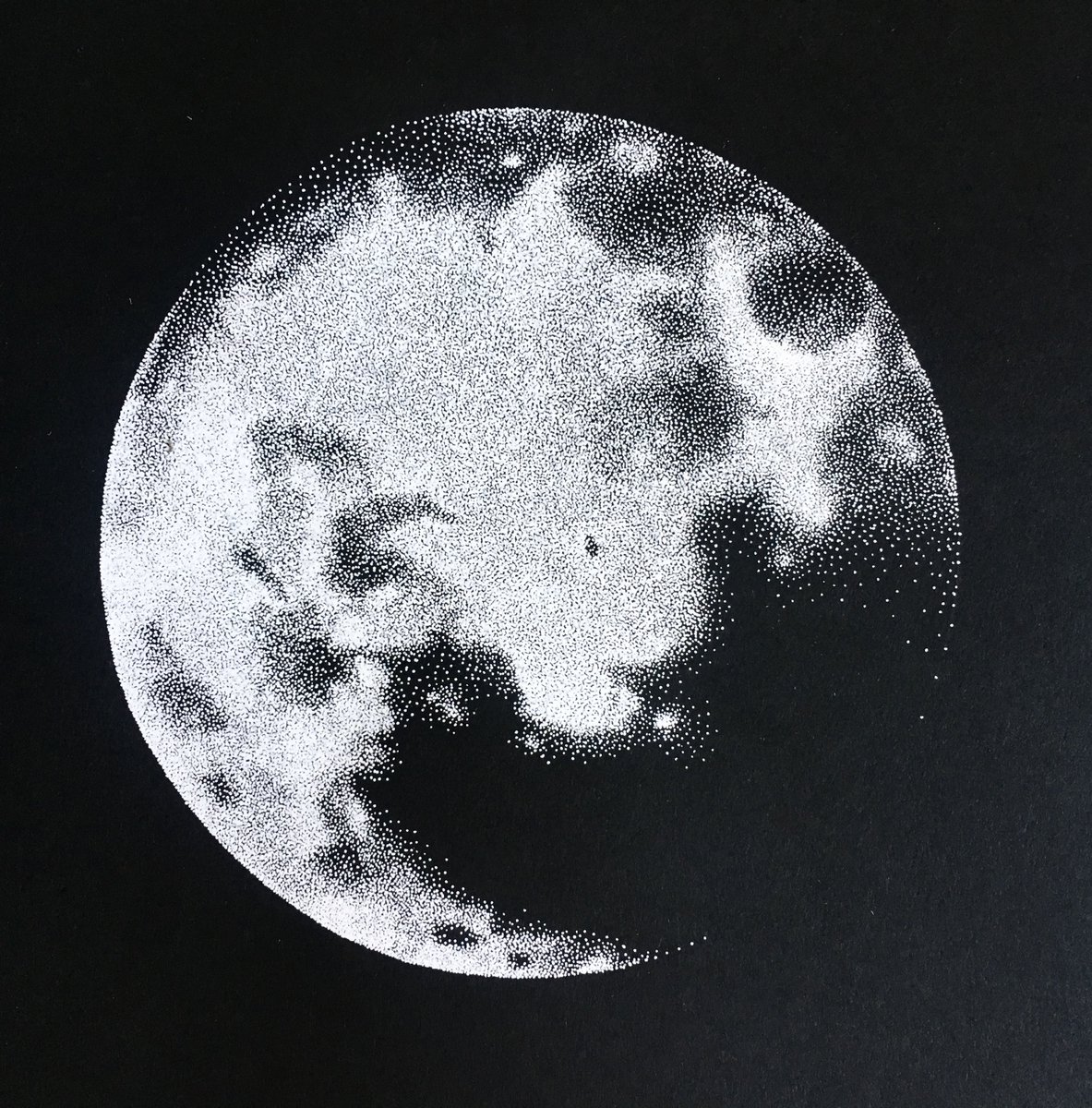 claire salvo tweet media