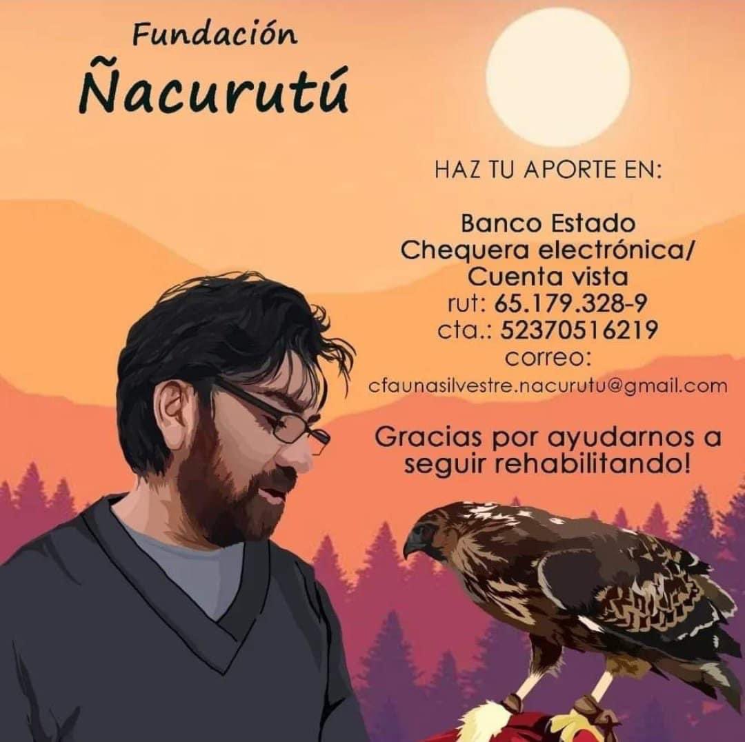 Hagan su aporte, están recibiendo la fauna silvestre quemada
