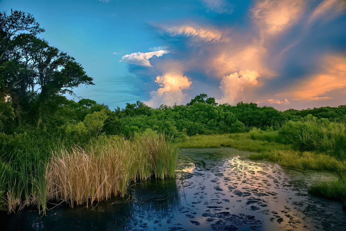 Morning storm clouds Perico Preserve Florida #sunrise #landscapephotography #StormHour #ThePhotoHour #floridaparks #NikonUSA #nikoncreators #nikonz50 #nikonphotography