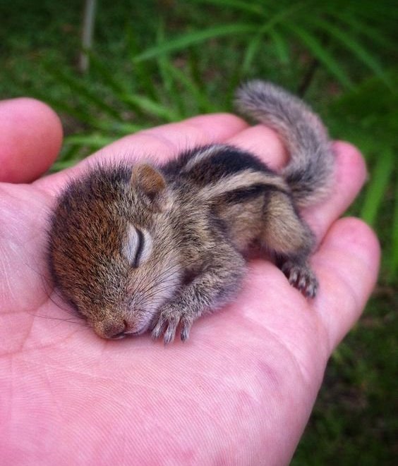 CasaliChapita's tweet photo. Qué es el amor?
Para mi, es esto, regalar momentos de paz, cuidado y tranquilidad a alguien, para que sienta que puede descansar un ratito de ese mundo que lo atormenta. https://t.co/nq84qUt8lU