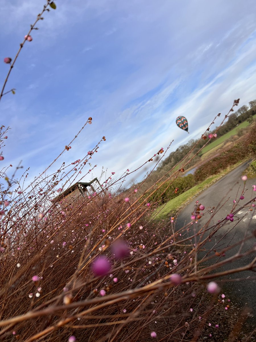 Hook_Ballooning's tweet photo. Lovely first flight of 2023 around and over Ogston Reservoir #hookballooning #highonpropane #lovelydayforit #hotairballoon #flying https://t.co/dBUFmqGsc5