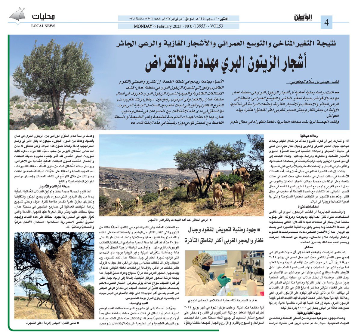 alwatanoman's tweet photo. أشجار الزيتون البري مهددة بالانقراض

https://t.co/Pa5YUU90Up https://t.co/HzhOI7rjrg