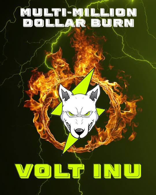 Volt Inu ⚡️ tweet media
