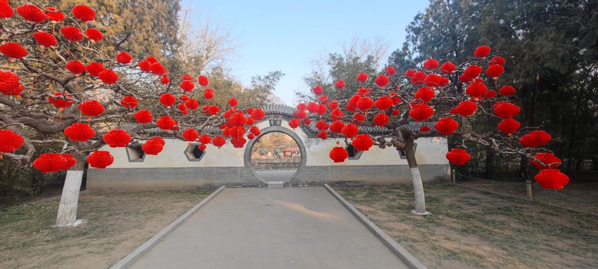 javihagen's tweet photo. Los faroles rojos saludaban hoy en el parque #Ditan de #Pekín a la primera luna llena del año nuevo chino, que marca el fin de quince días de celebraciones.
La primavera, cada vez más cerca. https://t.co/GQ89X106V4