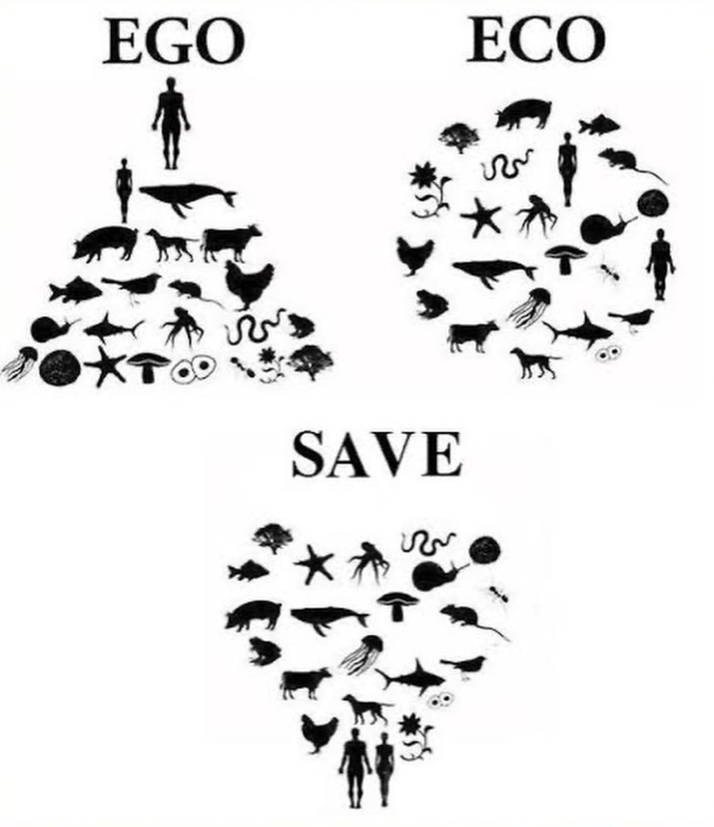 <a href="/brlstr1/">BaRLaS</a> <a href="/YildizzTilbee/">Yıldız Tilbe</a>