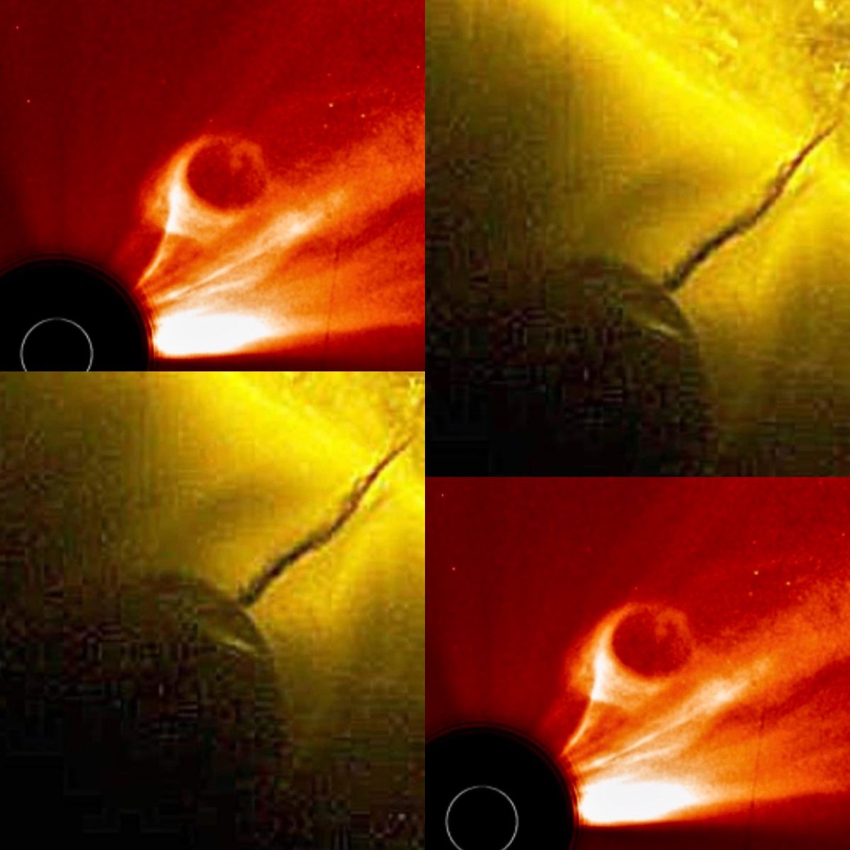 digduggydigdug's tweet photo. @LoreAsbury @GratiaMe45 Here is a truth bomb. Giant spherical objects are not a part of typical solar activity. So why is the entire scientific community and #NASA ignoring this bizarre event? And it coincided with the large Tonga eruption-same exact day. #LookUpNASA #SpaceX @NASA_Johnson #spherenearsun https://t.co/Pl5OrNV2Cl