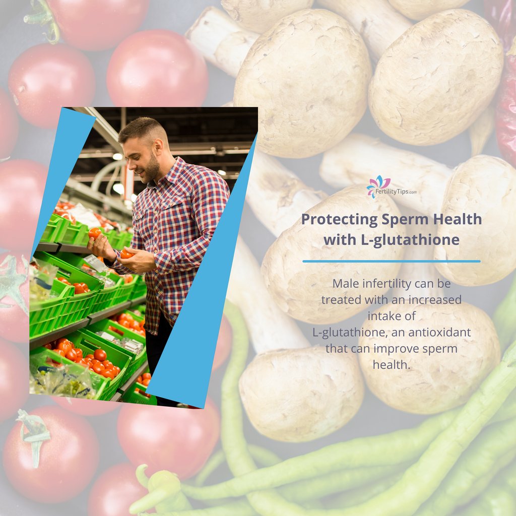 FertilityTips.com tweet media