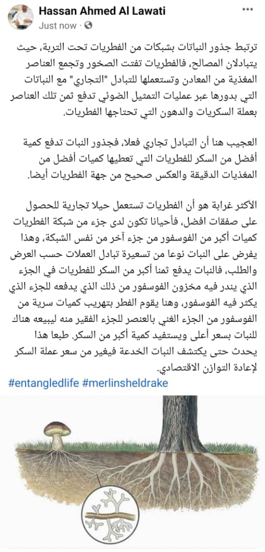 Hassan9703's tweet photo. هذا الأمر من عجائب #الطبيعة
#entangledlife #merlinsheldrake
#فطر https://t.co/lXgPFg6FXx