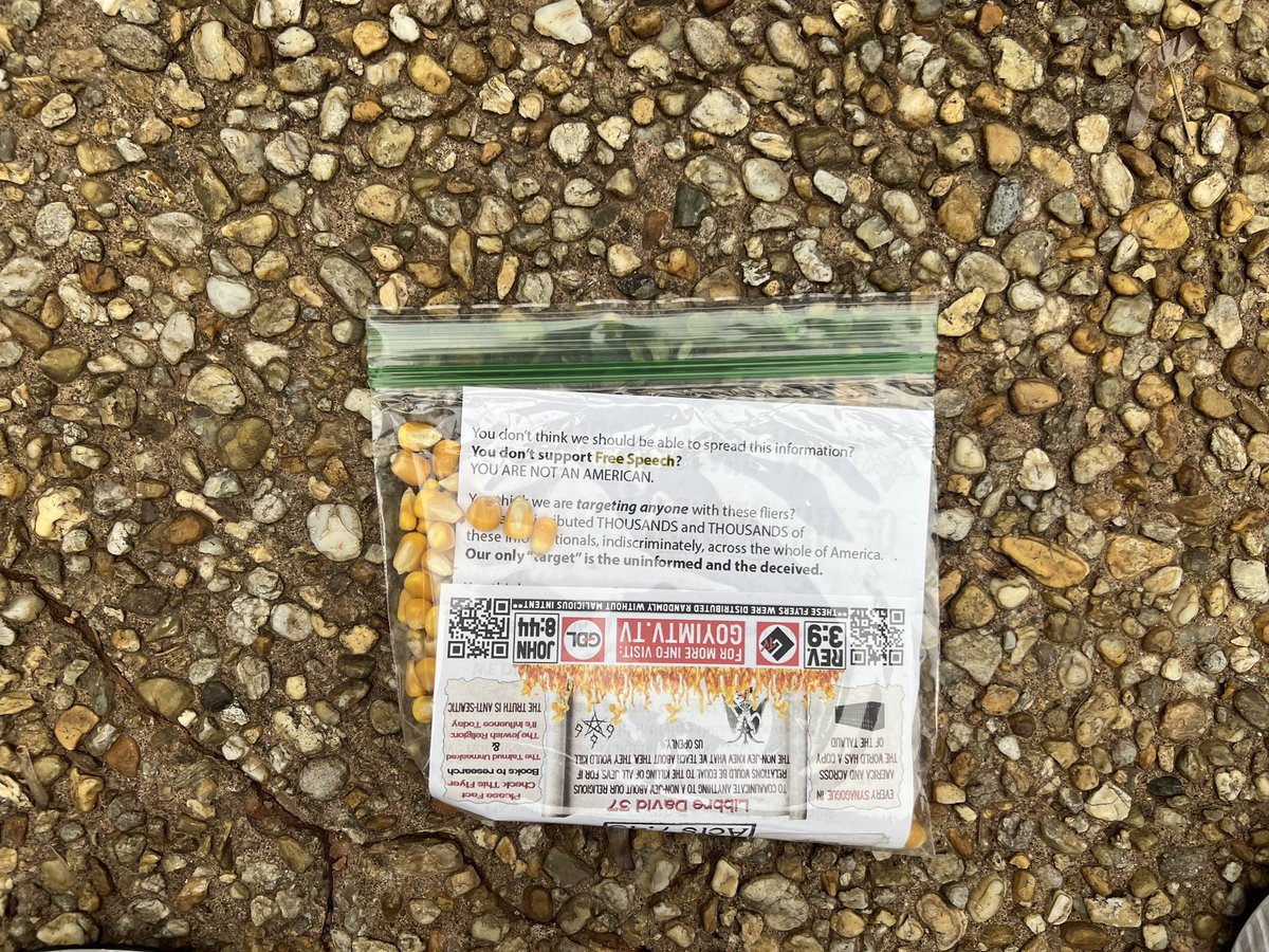 Rep. Esther Panitch tweet media