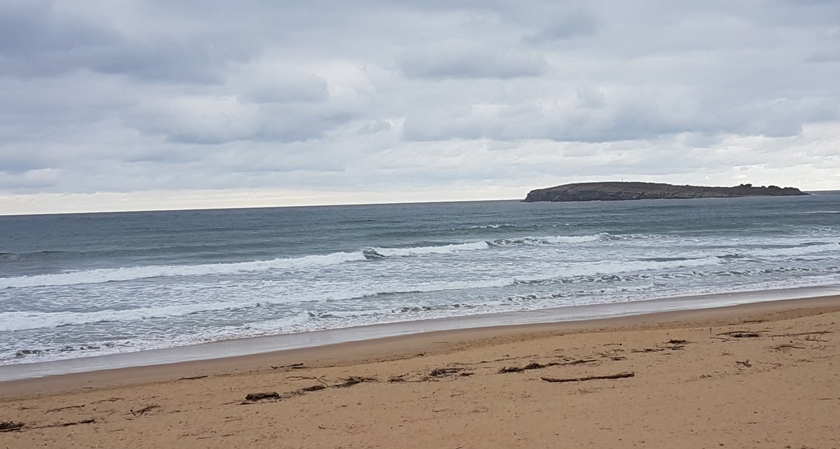 Apez140's tweet image. Feliz Sea #CoterónTeam y Amig@s, Gris por la costa y más mi Ánimo.
Abrazos y Besos van para allá a repartir...🧚‍♀️🕶