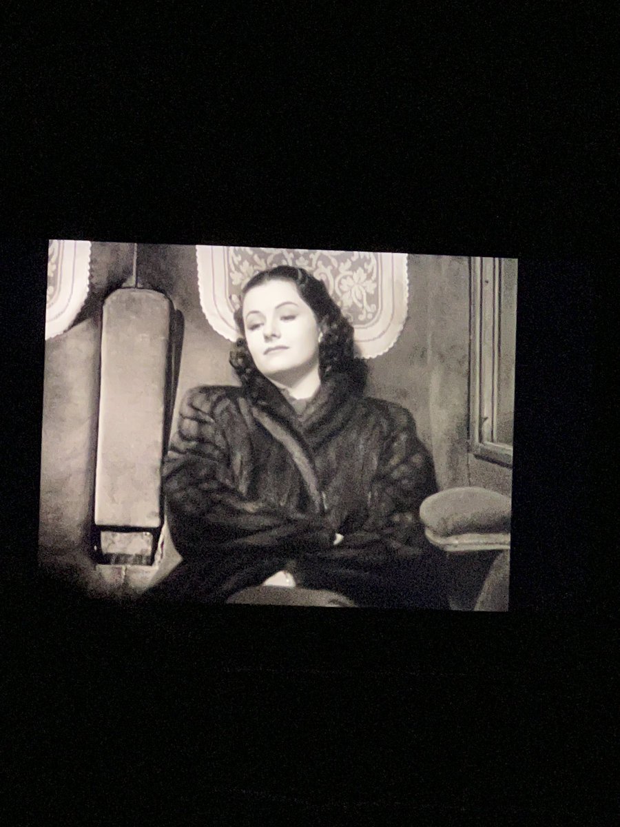 Sarah Stewart Taylor tweet media