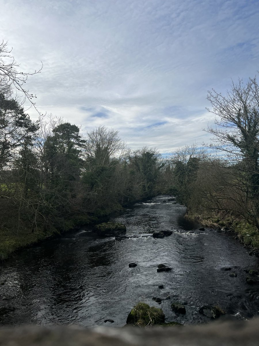 MPM76's tweet photo. Sunday walk #snowdrops #agiveyriver #aghadowey https://t.co/ErhV9qZ7db