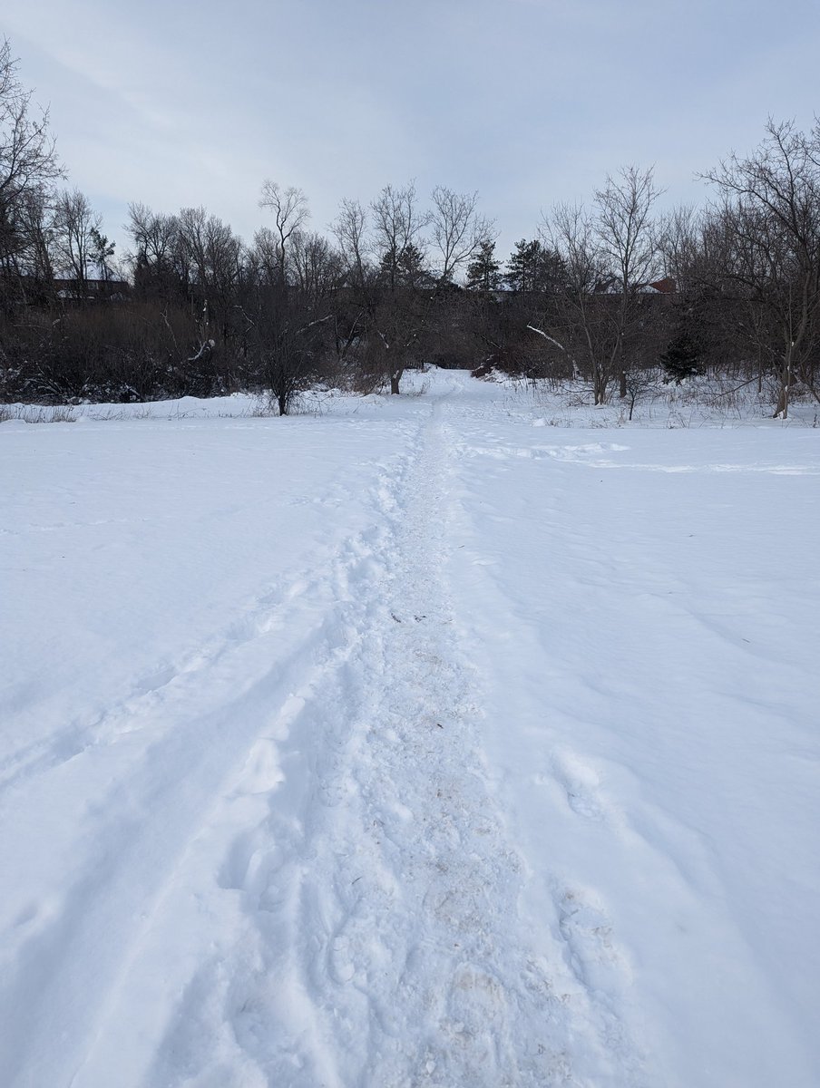 #SundayRunday Early morning 9 km with my bestie. Can't have a better way to start this Beautiful day. Happy Sunday my #fitfam 😘
#runners #runner #running #fitness #FitnessMotivation #FitnessandHealth #SundayFunday #runningmotivation #HappySunday #winter #snowgirl