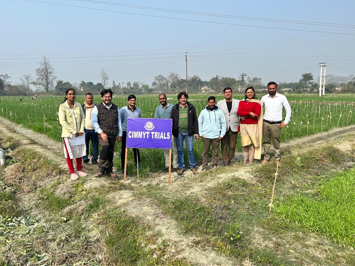 Leonardo Crespo tweet media