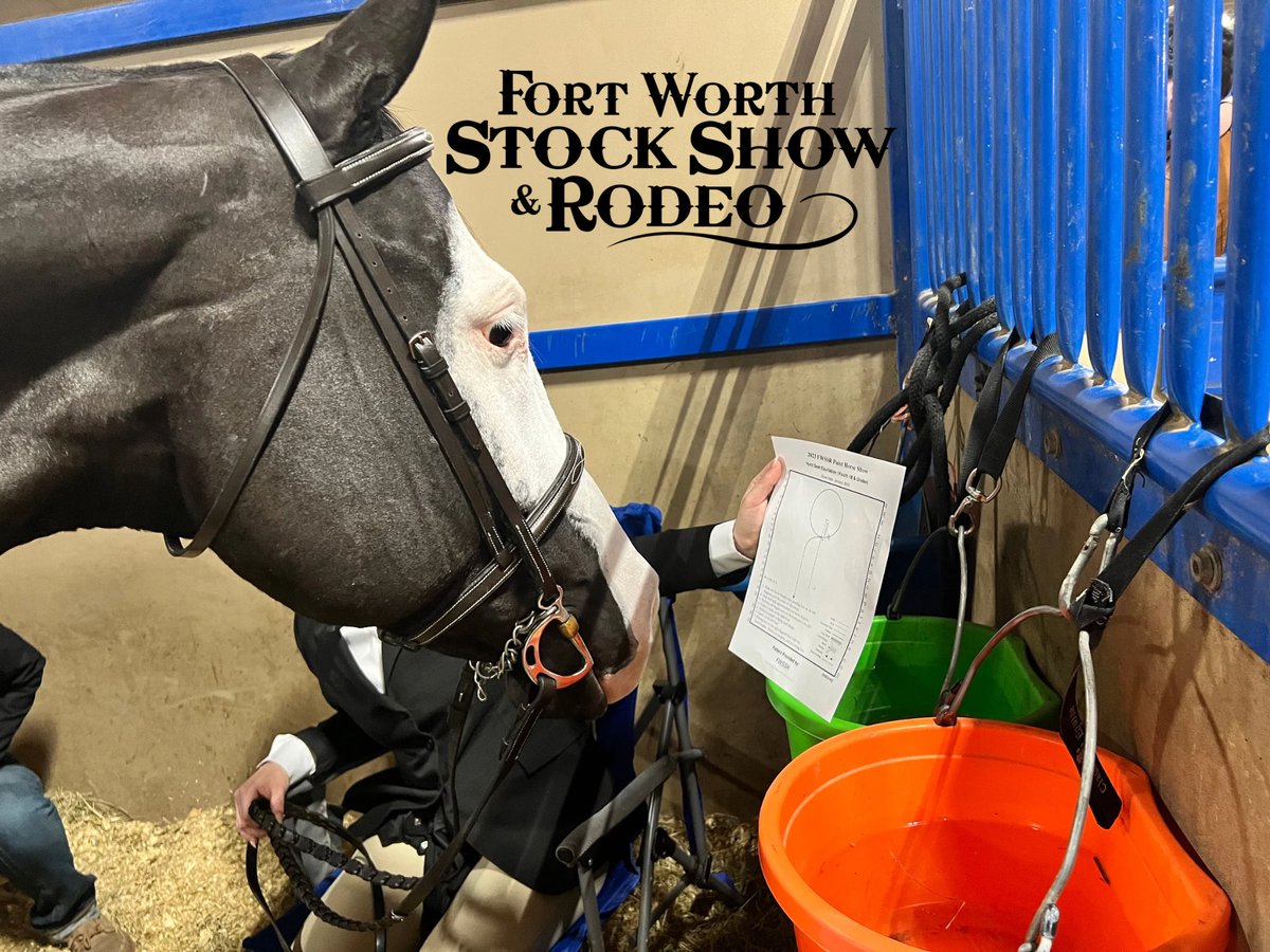 rfluegel's tweet photo. Some snippets from the Fort Worth Stock Show’s Amer. Paint Horse show. It was filled with top tier horses and riders from across the country. It was a privilege to be showing against the best. Great job, Jordan! @McAllenMemorial @FFA_Memorial @kwfluegel @McAllenISDCTE https://t.co/BjIuSCPkPs