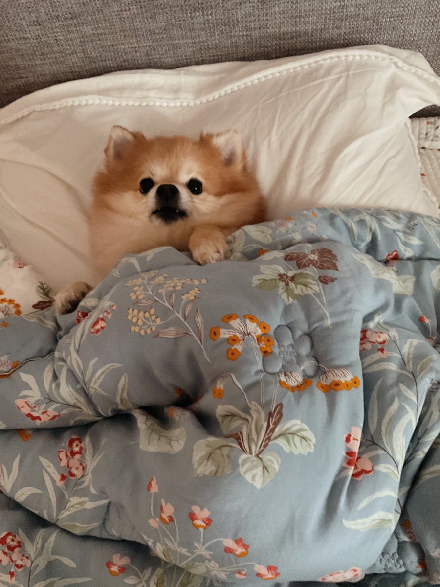 불꺼조 쿠니 다들 좋아하시네예