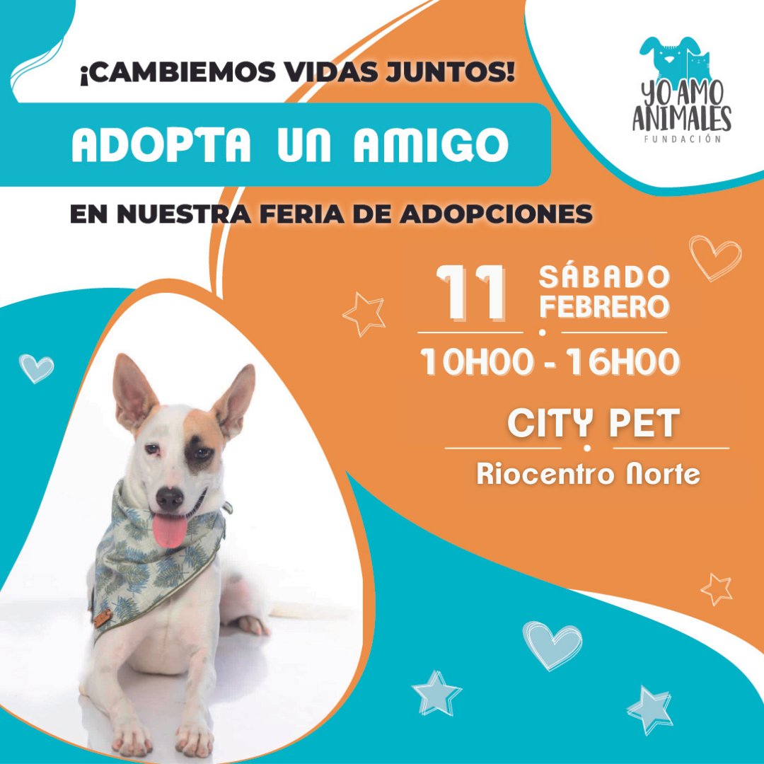 Yo Amo Animales tweet media