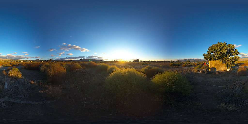 revolt3d tweet media