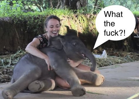 Well thanks for tuning in folks. It’s been a joy.

Mary went back to her job teaching quantum physics, but was then arrested for breaking into the local zoo every day,  and stalking the elephants.
#HisDarkMaterials