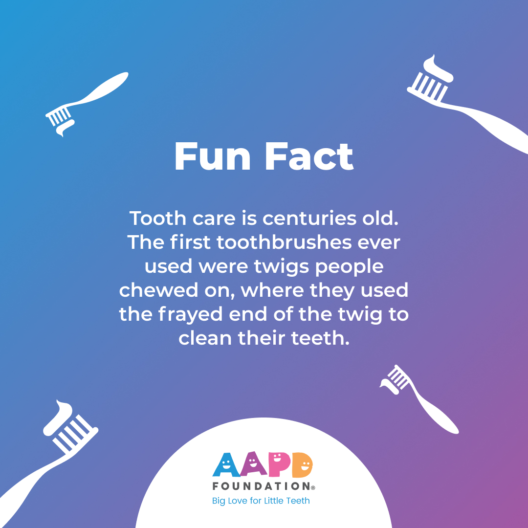 AAPDFoundation's tweet photo. Fun Fact! Tooth care is centuries old. The first toothbrushes ever used were the frayed end of a twig that cleaned the teeth by chewing. The modern-day toothbrush with nylon bristles, however, wasn’t developed until the late 1930s! #AAPDFoundation #oralhealth #dentalfacts https://t.co/e0R8GoVpV7