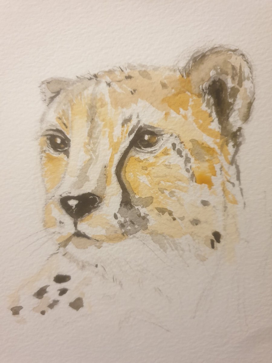 CheetahCubNFT's tweet image. Gm 🌞:)) 🐆 #saveeverycheetah #planetearth 
#ourworld
Grateful for the colourful world we live in 🙏