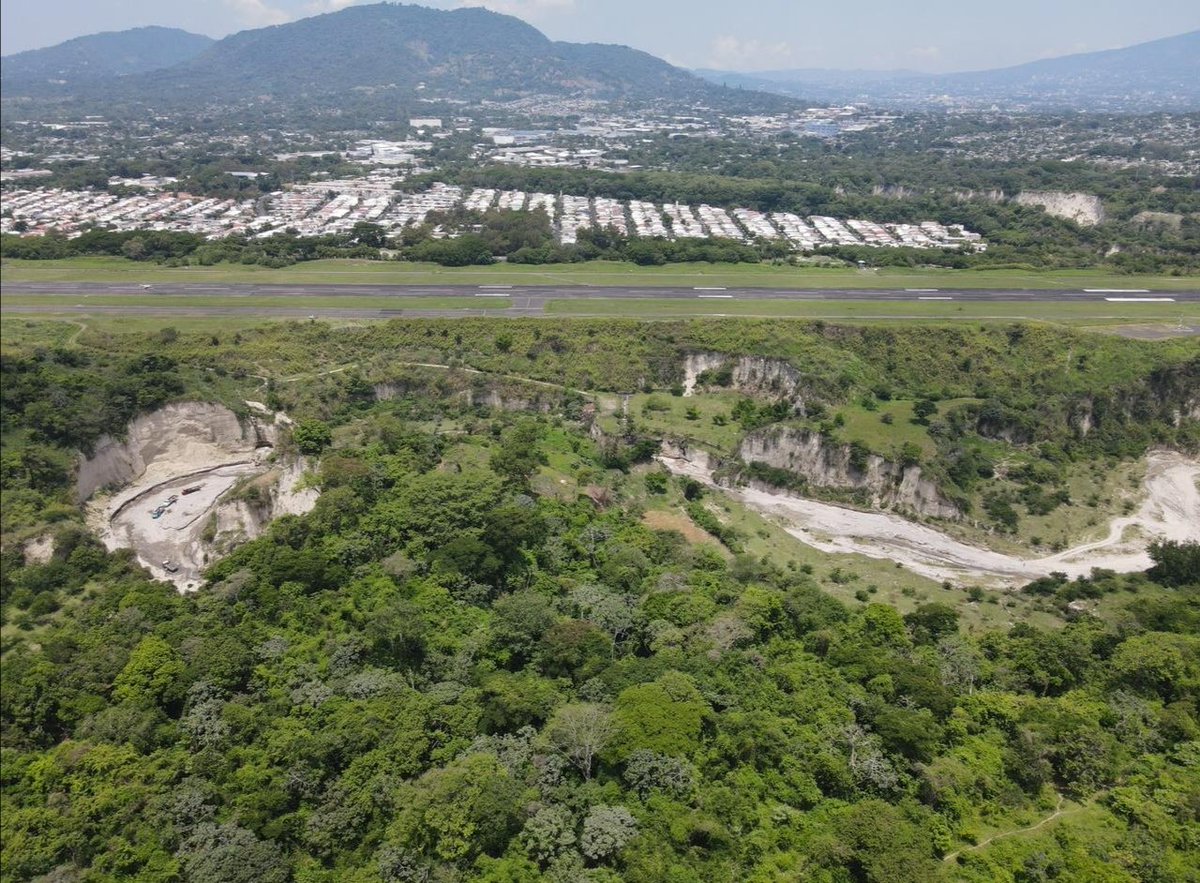 Alerta Noticias tweet media