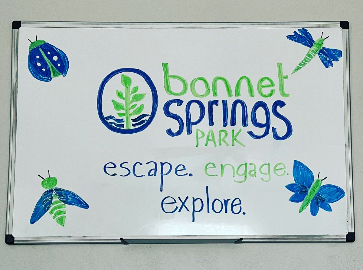 Today’s dry erase marker art is inspired by Lakeland’s awesome new park, <a href="/BonnetSprings/">Bonnet Springs Park</a>. Check it out today! The four icons in the corners represent giving levels if you’d like to become a friend and supporter of the park. (Or volunteer!) 
bonnetspringspark.com/friends-of-bsp/
