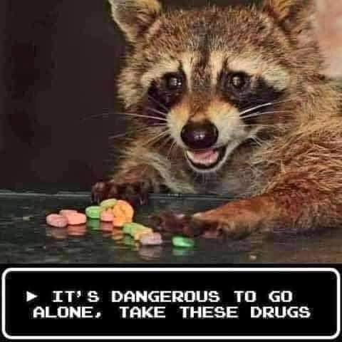 coojoe_'s tweet photo. @Granola_Ninja Be Gay, do crime https://t.co/yAmmOSPrId