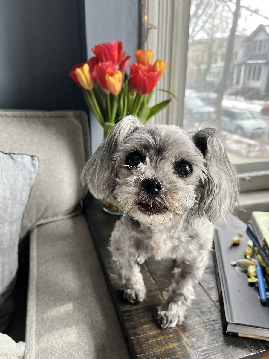 Aussieshell4 tweet media