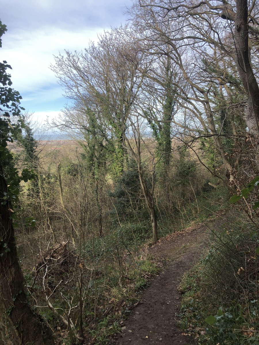 Only a little walk to the woods today lovely blue skies. 
Spring is coming! 
#winterwalks #cymru #wales #woods #outdoors #walks #trees