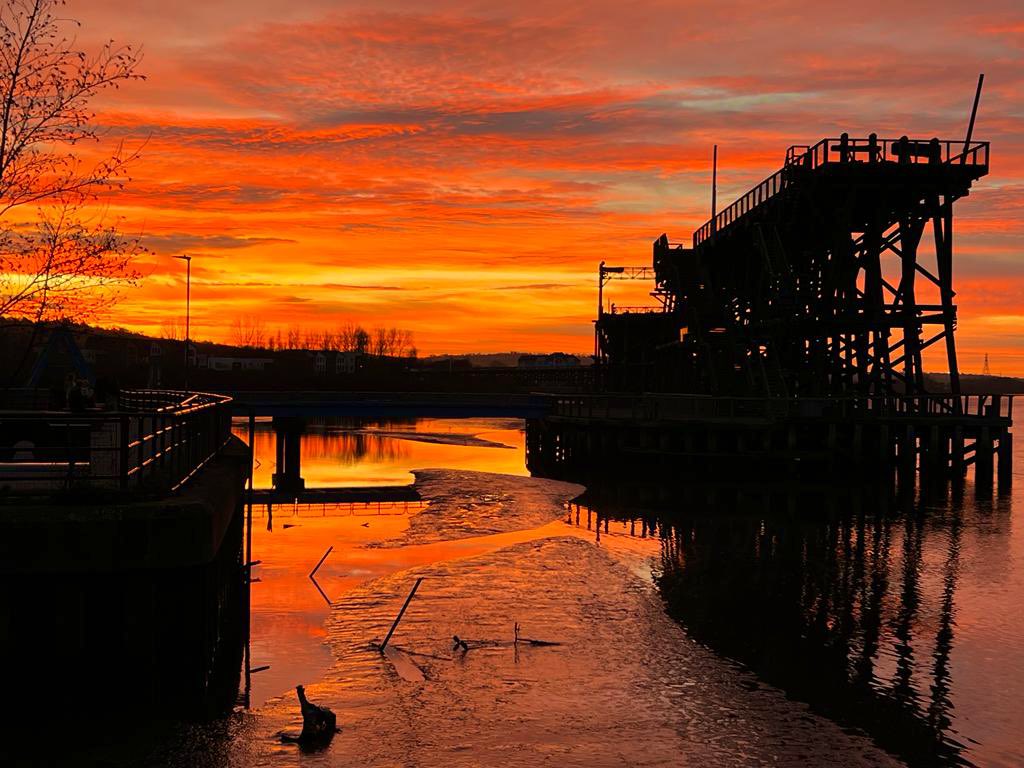 Canny Food tweet media