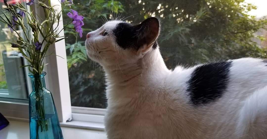Sabrina