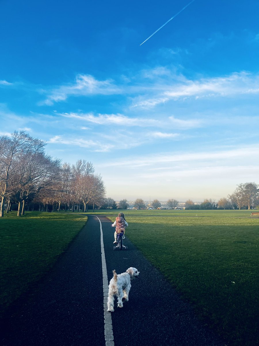 Edel Pharmers Journal tweet media