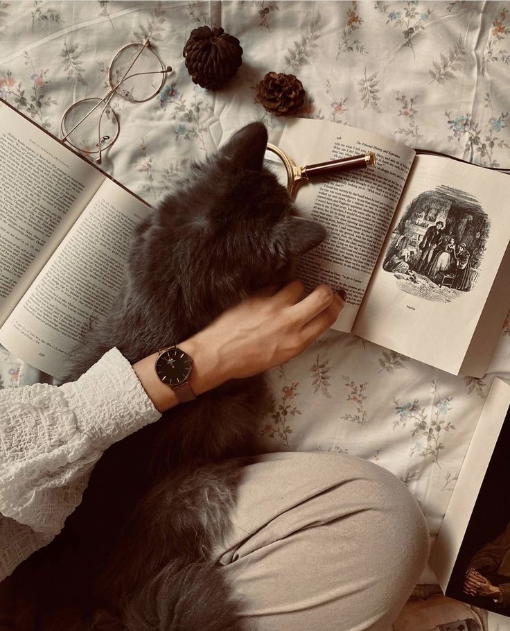 AcademiaDreams's tweet image. 