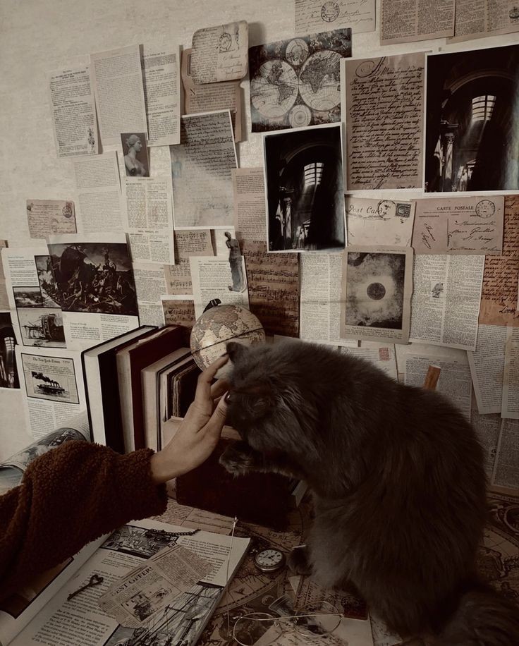 AcademiaDreams's tweet image. 