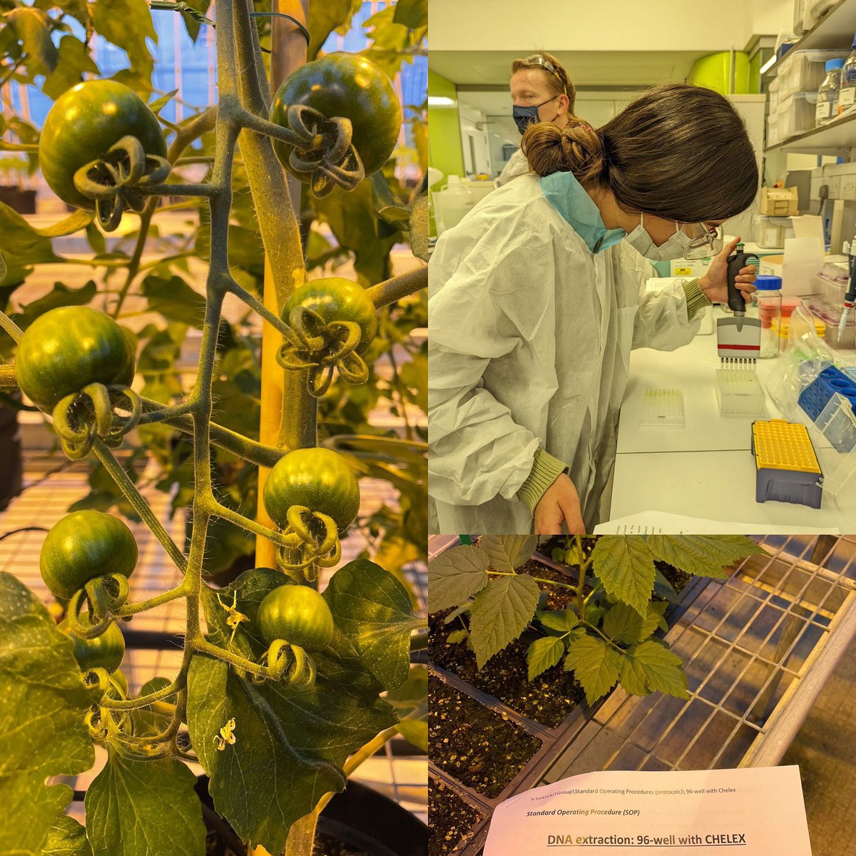 mafeafuentes's tweet image. ATENCIÓN!!!!‼️🚨🚨🇬🇧 YA ESTÁ ABIERTA LA CONVOCATORIA DE LA BECA DEL BRITISH COUNCIL PARA MUJERES EN STEM!!! Esta es su oportunidad para realizar una MAESTRÍA en el Reino Unido GRATIS!!!👩🏻‍🔬👷🏻‍♀️🇨🇴🇦🇷🇵🇪🇲🇽🇻🇪🇯🇲🇧🇷

Abro hilo con detalles🧵