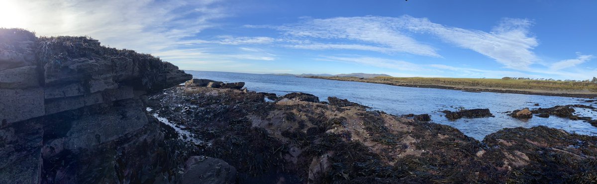 JamesSliabhLiag's tweet image. One day apart … foraging for the #truffleofthesea the magical ingredient in @andulamangin yesterday was cold and wet and wild today was cold dry and benign #wouldntbeanywhereelse #Donegal