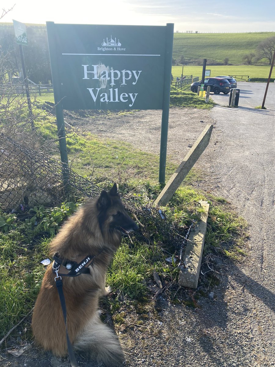 Emma Townsend tweet media