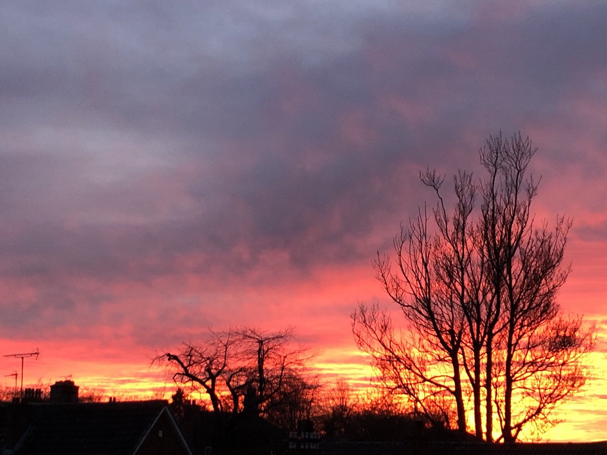 Smithy555Debi's tweet photo. Good evening Alwoodley! https://t.co/IMGattrq1Z