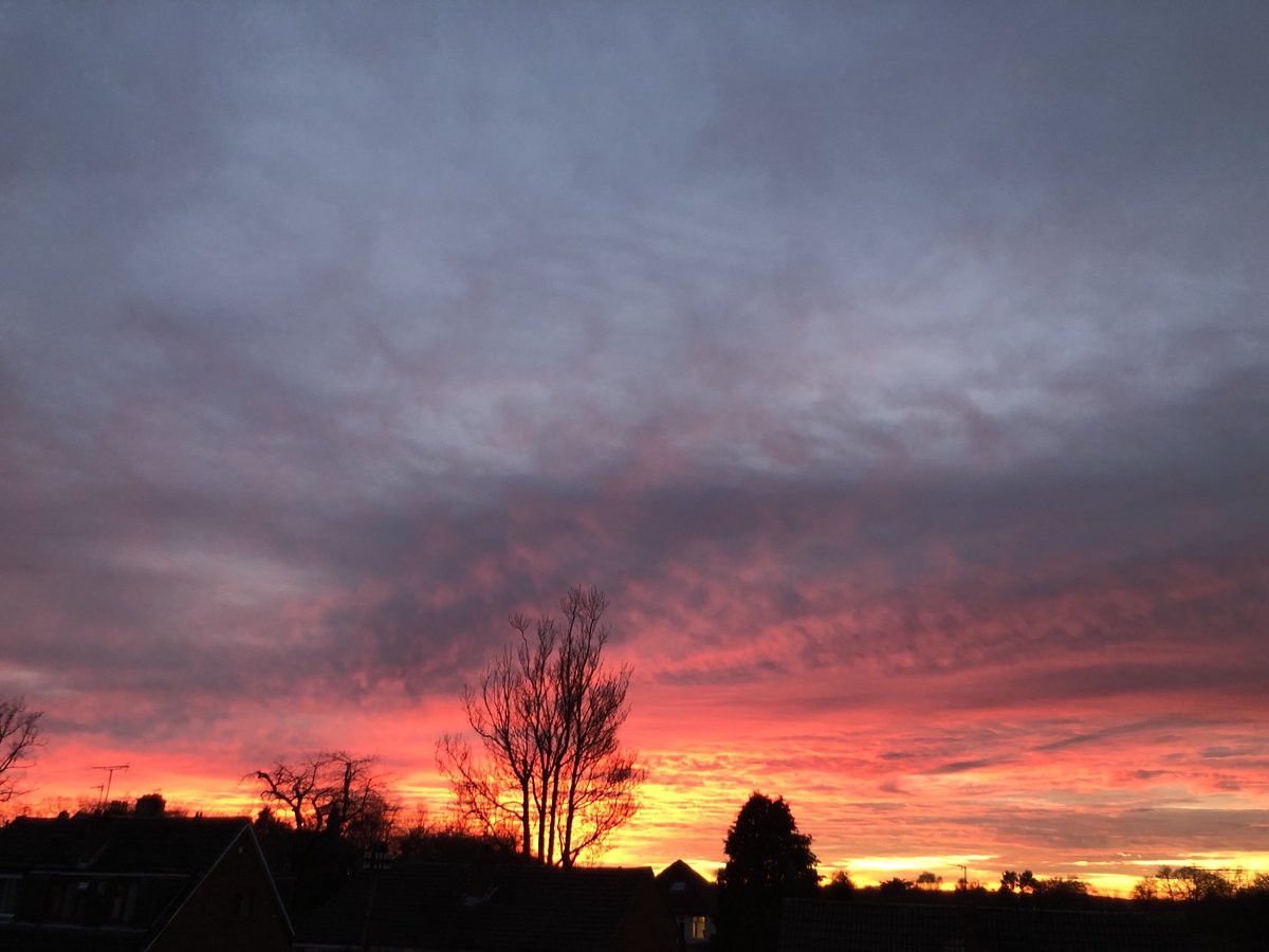 Smithy555Debi's tweet photo. Good evening Alwoodley! https://t.co/IMGattrq1Z